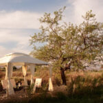 Centro Terapias Integradas Crecer - San Pedro de Atacama 9 AF1QipMD32pJ0K5Lc0GQPVctLLtx6k5k705WzWsVSVu4w408 h272 k no