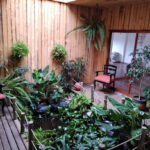 AF1QipMZSgAOLkgYezYlqU12 YBcP6Q yGbGLzEXtxCAw408 h544 k no