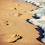 AF1QipMw1TVKVnvyvjTDgZzVS8lYJJdbzIyCvvmZPOvow408 h271 k no