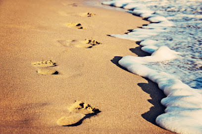 AF1QipMw1TVKVnvyvjTDgZzVS8lYJJdbzIyCvvmZPOvow408 h271 k no