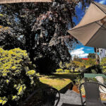 Hotel Haase - Puerto Octay 11 AF1QipNK6pdzs1h 5nmGX3AvOrT5 KyqcnDl IreS7b3w426 h240 k no