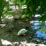 Arca del Pequen - Coinco 5 AF1QipNUFS18XYt39u0xBTtL 4AtUfykky23WaOvmJEYw408 h544 k no