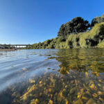 AF1QipNWuM 5dUFbF2jPp1RhcgnN57mPcQtHuH wU f7w408 h306 k no