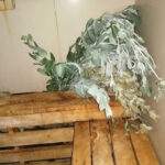 AF1QipNZY2nQ6faCiMVrz j2Mq9qmh6iinGb6F6mgh23w408 h306 k no