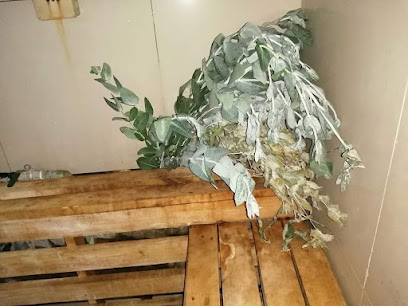 AF1QipNZY2nQ6faCiMVrz j2Mq9qmh6iinGb6F6mgh23w408 h306 k no