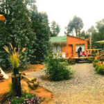 AF1QipNqDq6Tdnvzo7i7IOYN3gg n8JB1pgipTyXlO2pw408 h298 k no