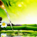 AF1QipOdkqa62yW93uSu0vtX oKN8SyDL7RT8Jk4t7u9w426 h240 k no