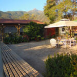 AF1QipPun08vTz6TyYOfBav2FakyOE1G xjFKJO0vKraw408 h306 k no